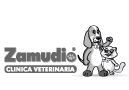 Zamudio